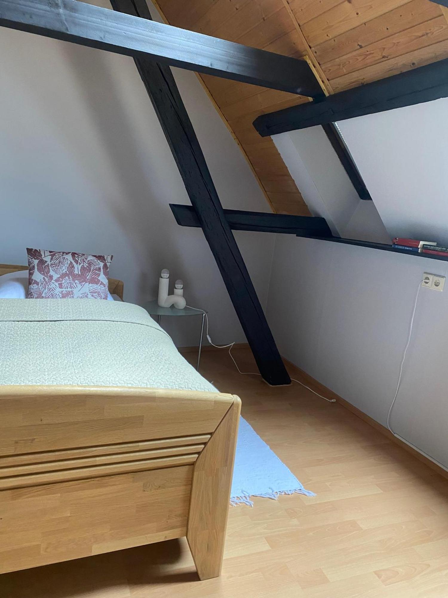 Ferienwohnung An Der Brigach ドナウエッシンゲン エクステリア 写真