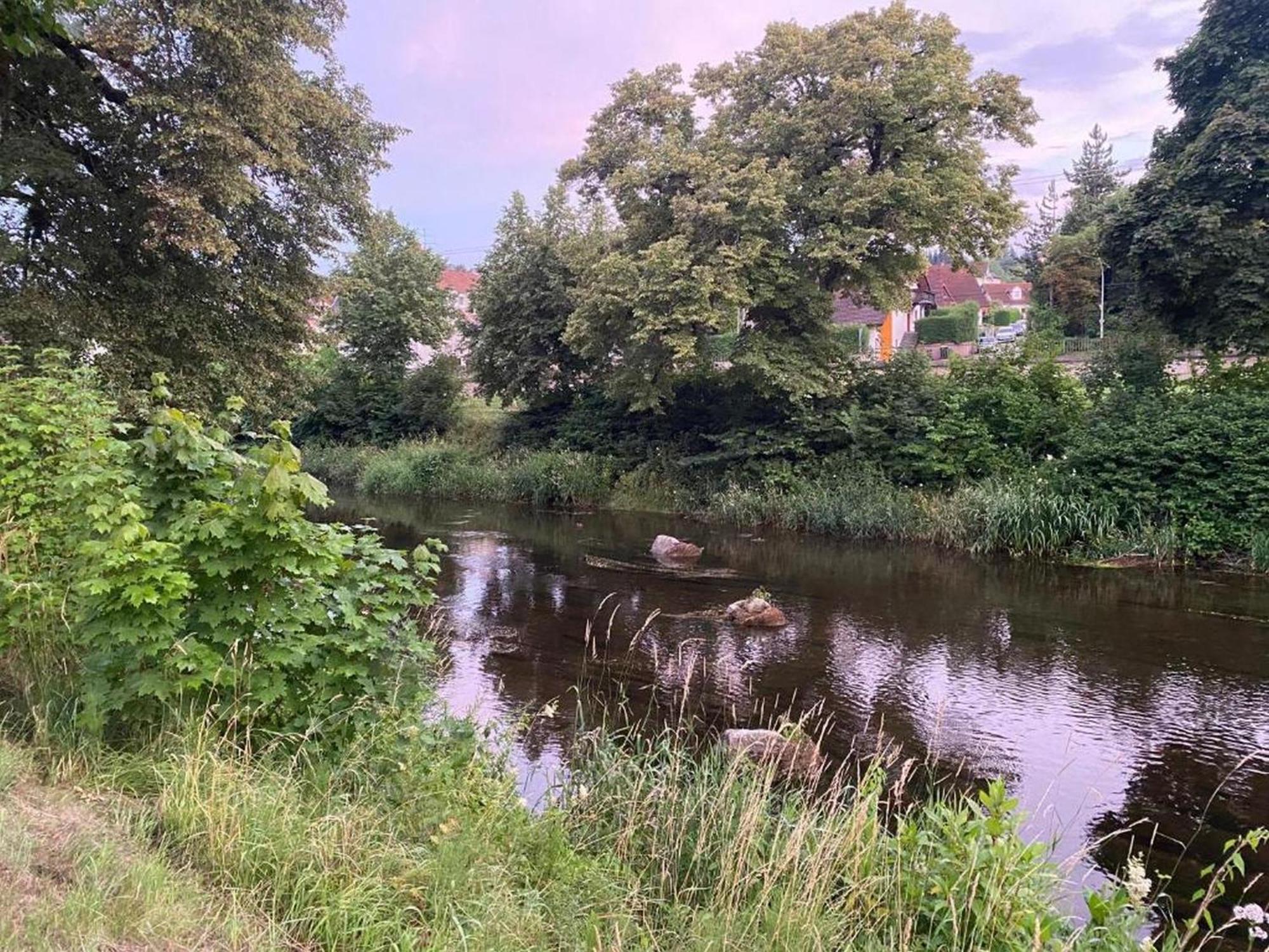 Ferienwohnung An Der Brigach ドナウエッシンゲン エクステリア 写真