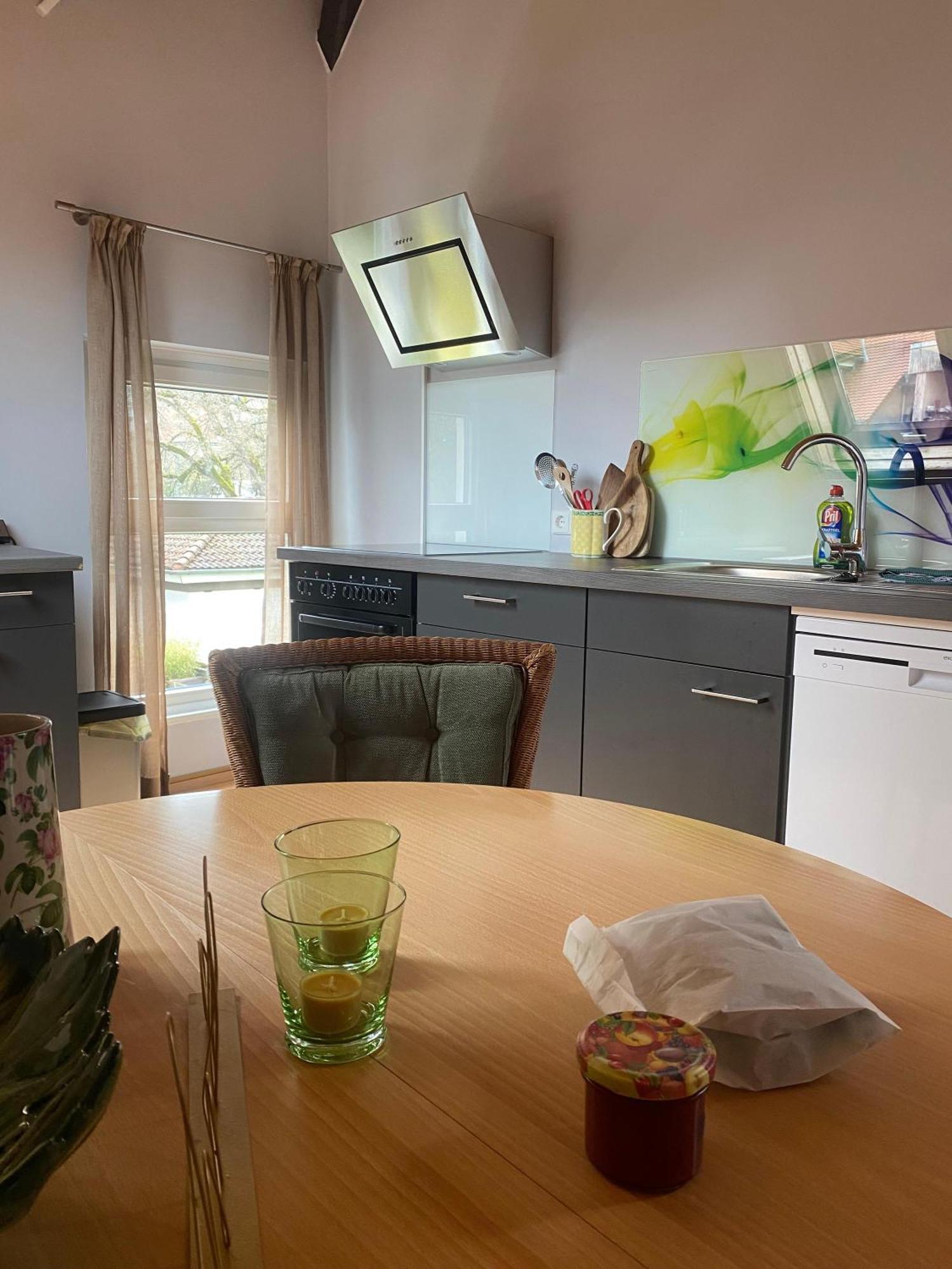 Ferienwohnung An Der Brigach ドナウエッシンゲン エクステリア 写真