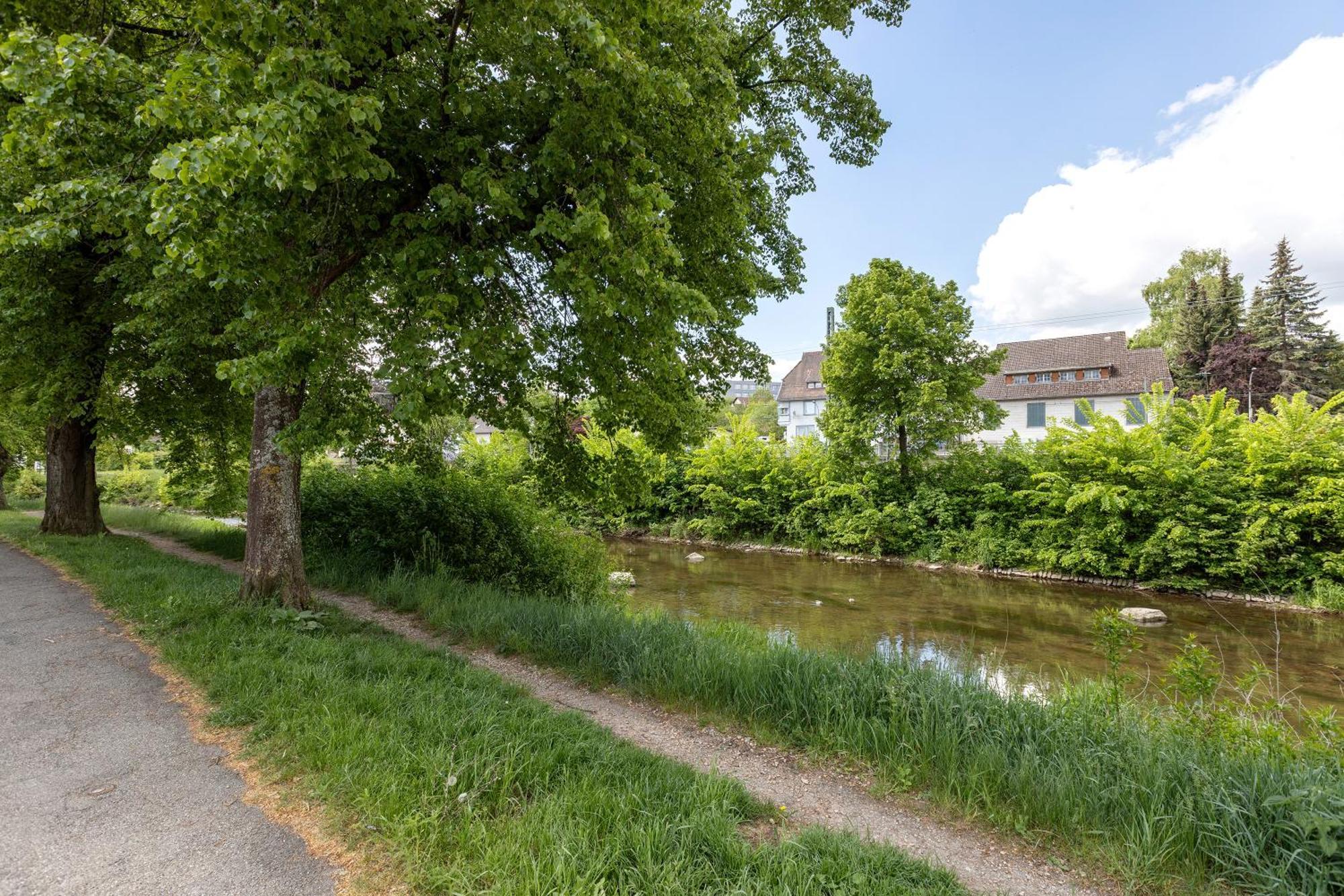 Ferienwohnung An Der Brigach ドナウエッシンゲン エクステリア 写真