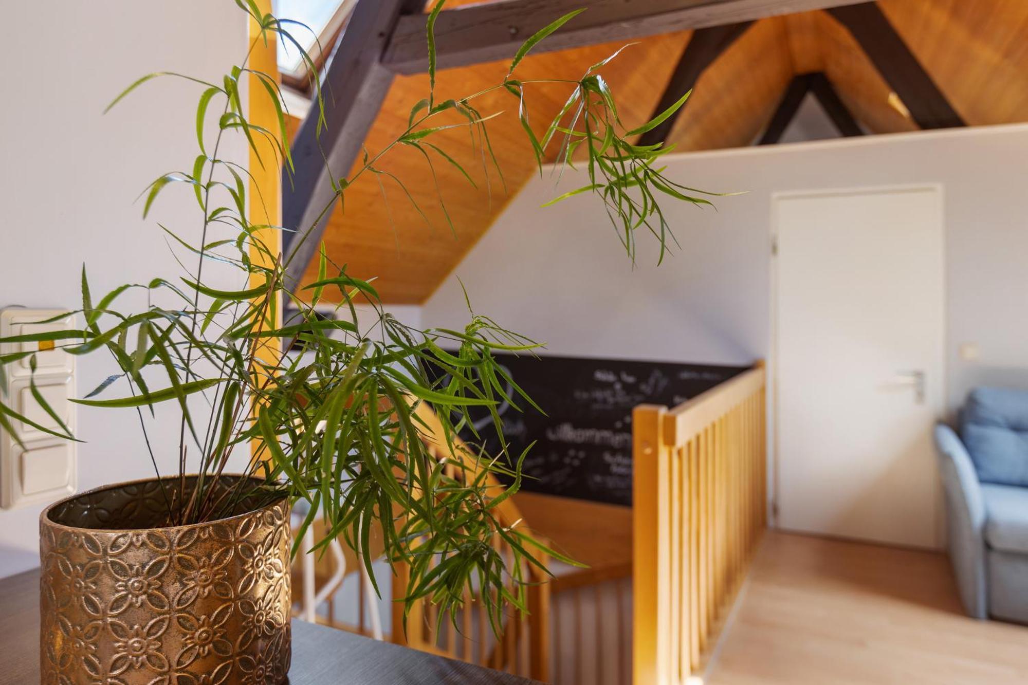 Ferienwohnung An Der Brigach ドナウエッシンゲン エクステリア 写真